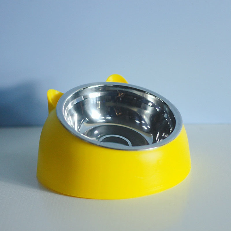 Stainless Steel Double Dog Bowl with Slanted Design