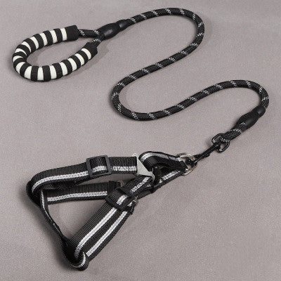 Dog Leash and Chest Harness Set for Walking