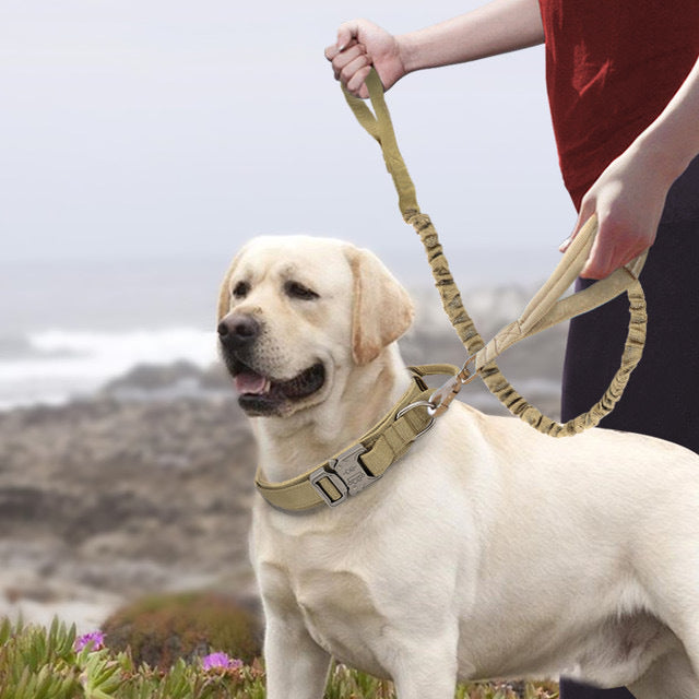 Adjustable Nylon Dog Collar for Medium Large Dogs Durable