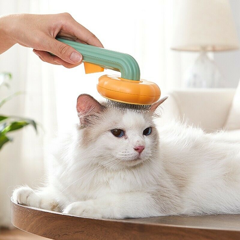 Self Cleaning Pumpkin Slicker Brush for Dogs and Cats