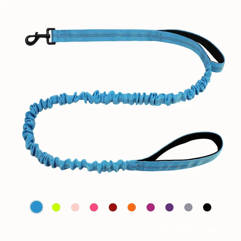 Multi Functional Anti Pull Dog Leash for Large Breeds
