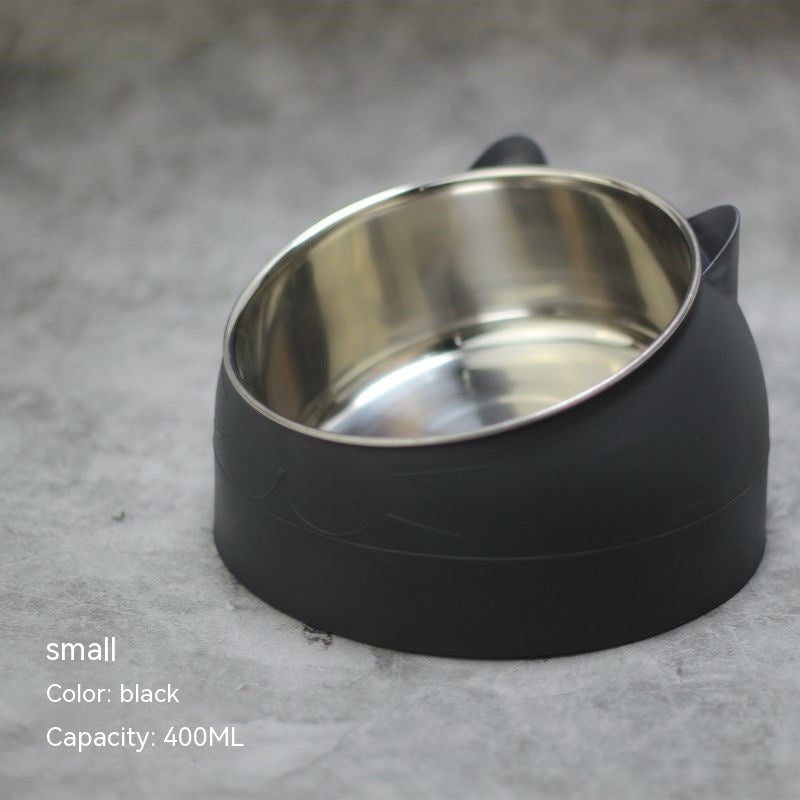 Stainless Steel Double Dog Bowl with Slanted Design