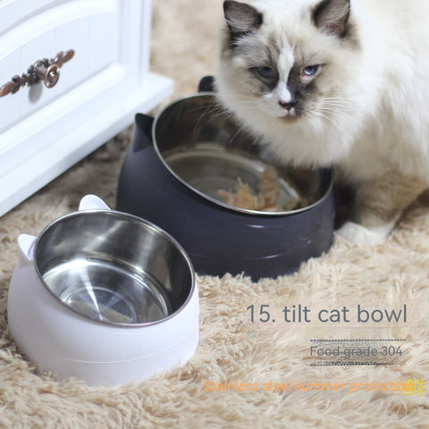 Stainless Steel Double Dog Bowl with Slanted Design