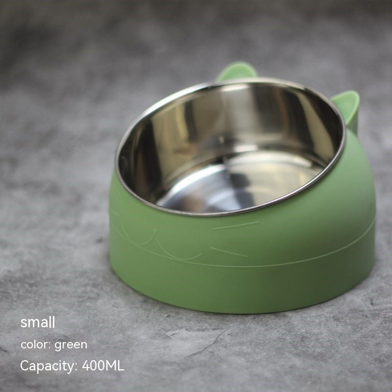 Stainless Steel Double Dog Bowl with Slanted Design