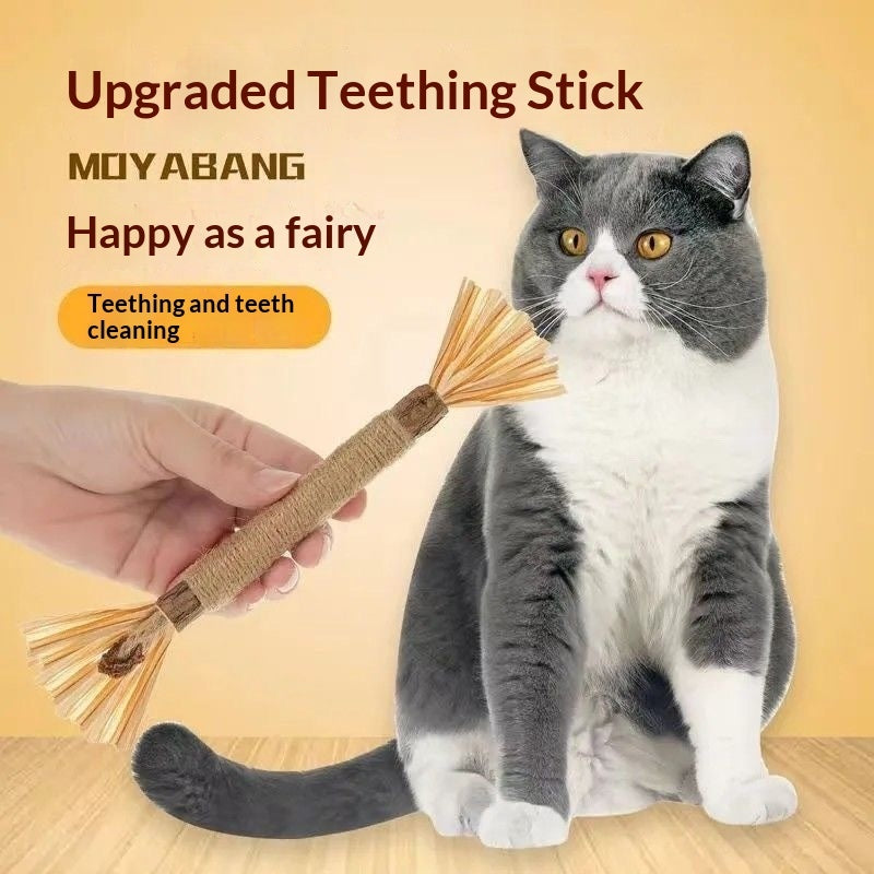 Cat Toy Gift Set for Interactive Play Fun