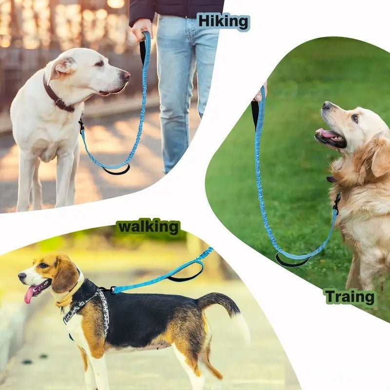 Multi Functional Anti Pull Dog Leash for Large Breeds