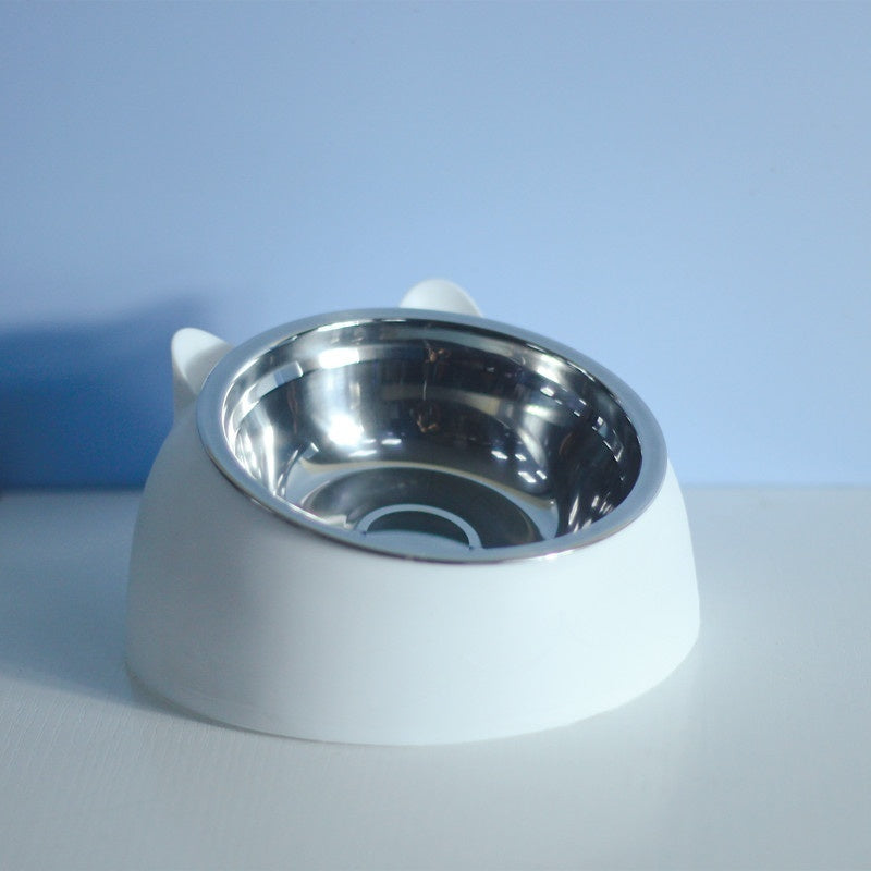 Stainless Steel Double Dog Bowl with Slanted Design