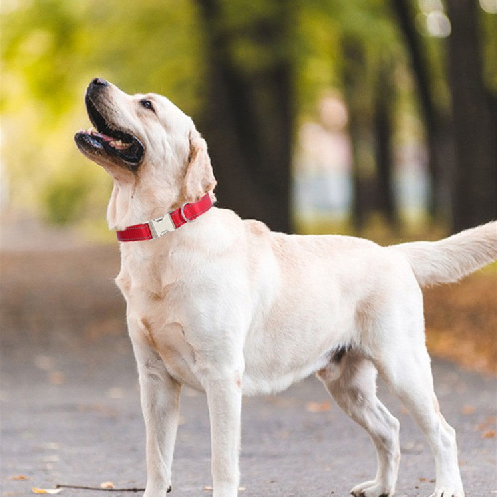 Reflective Nylon Dog Collar Adjustable for Everyday Safety Comfort