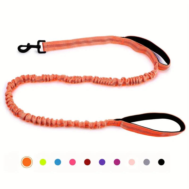 Multi Functional Anti Pull Dog Leash for Large Breeds