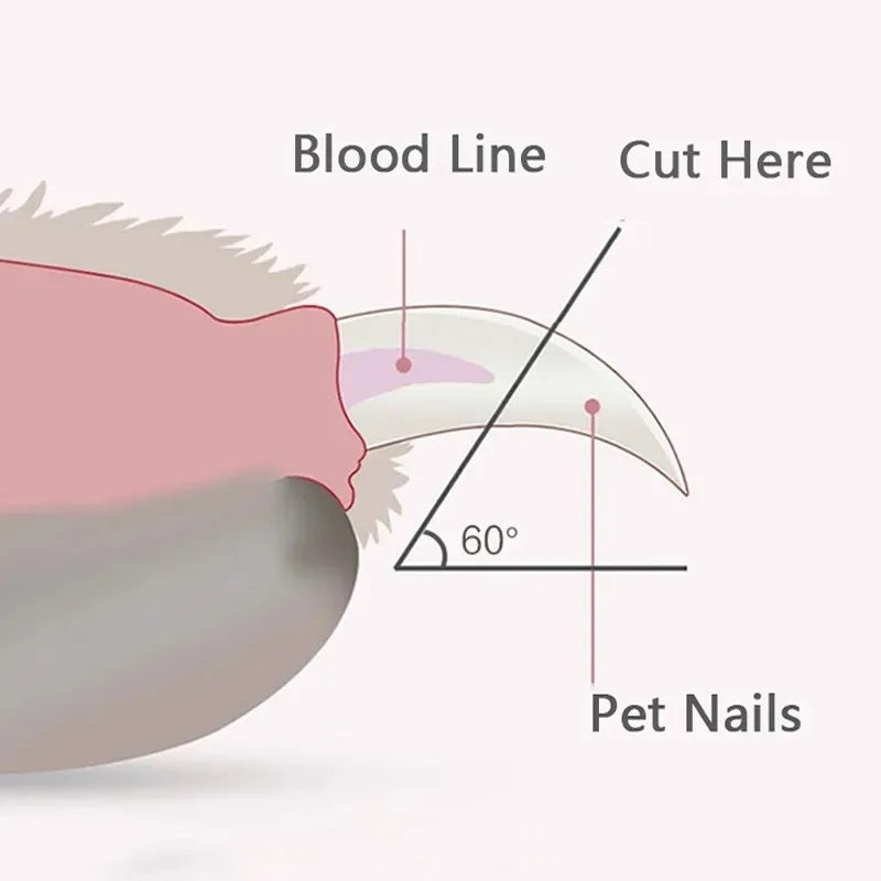LED Pet Nail Clippers with Bloodline Light Safety Guide