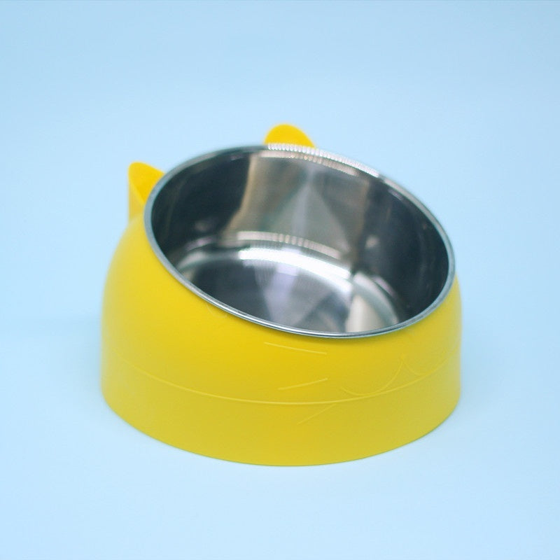 Stainless Steel Double Dog Bowl with Slanted Design