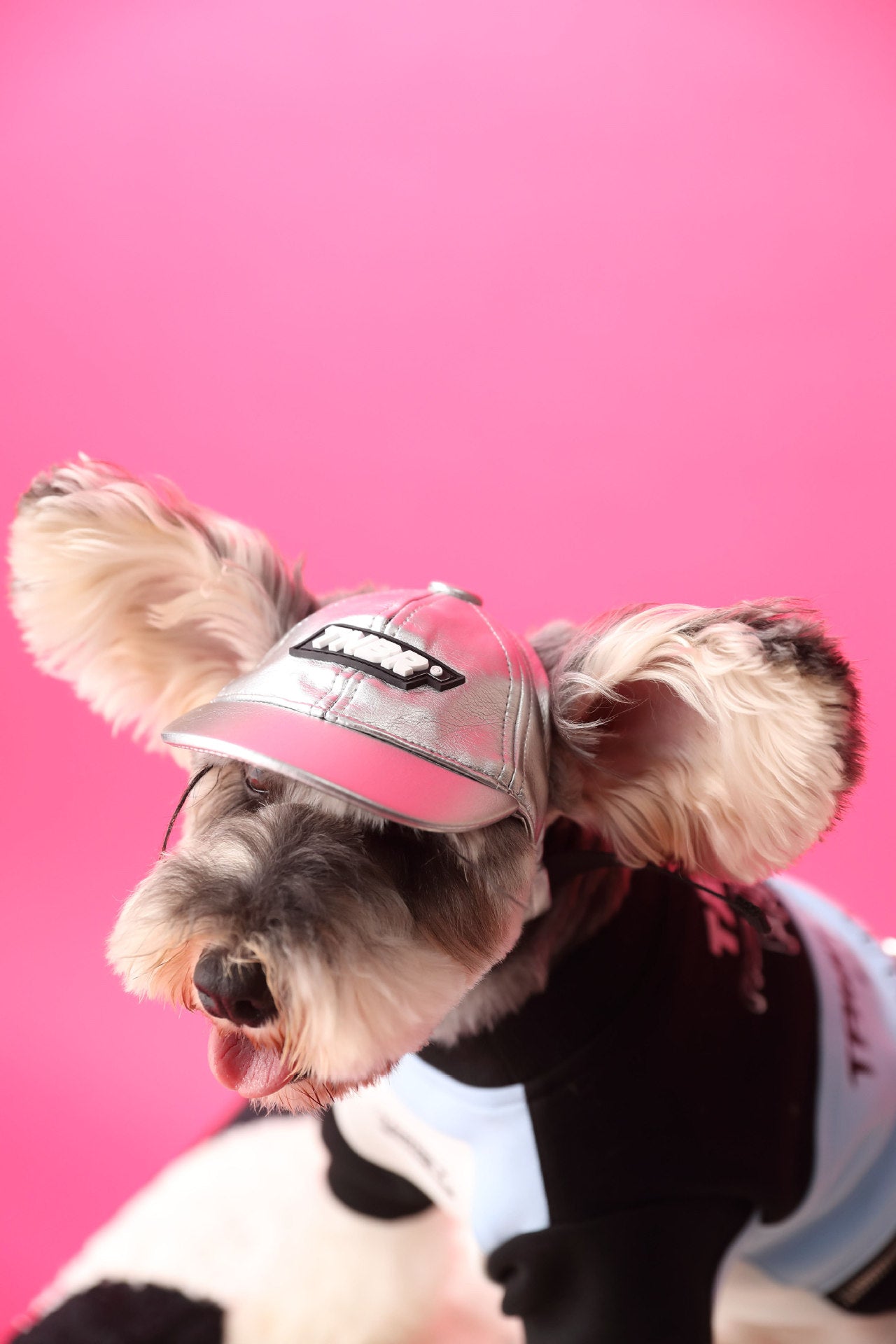 Dog Zipper Pullover Sweater Comfortable Warm Pet Clothing Stylish