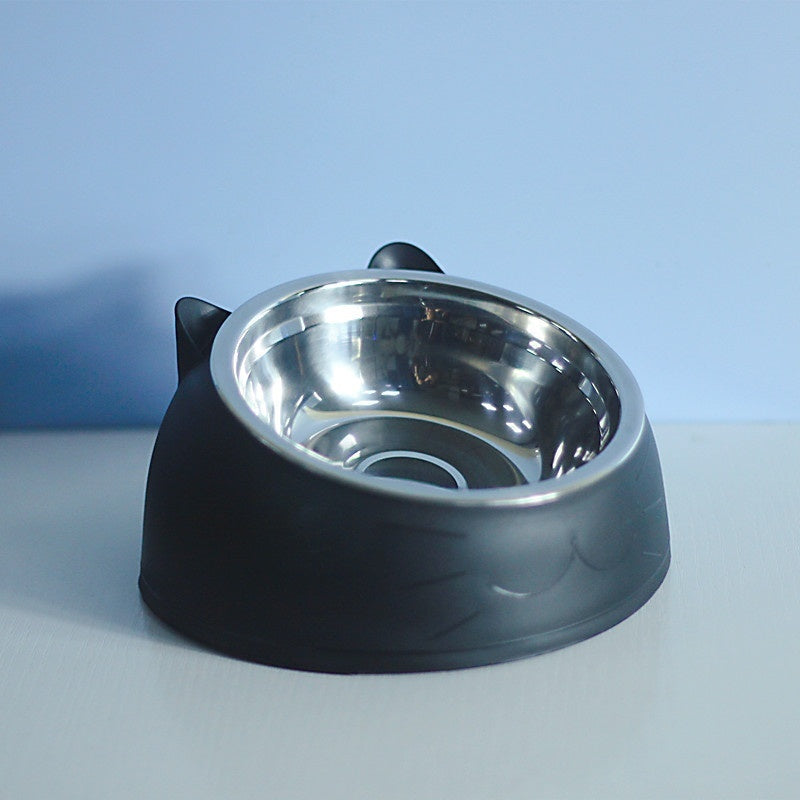 Stainless Steel Double Dog Bowl with Slanted Design