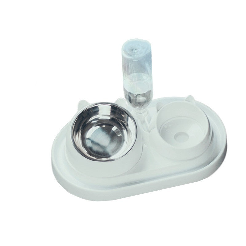 Stainless Steel Double Dog Bowl with Slanted Design