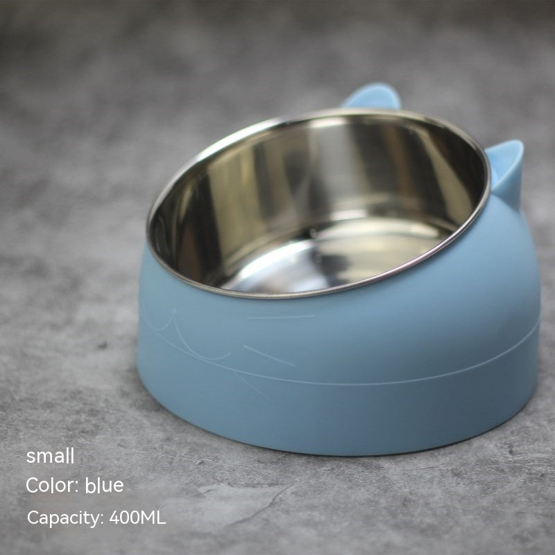 Stainless Steel Double Dog Bowl with Slanted Design