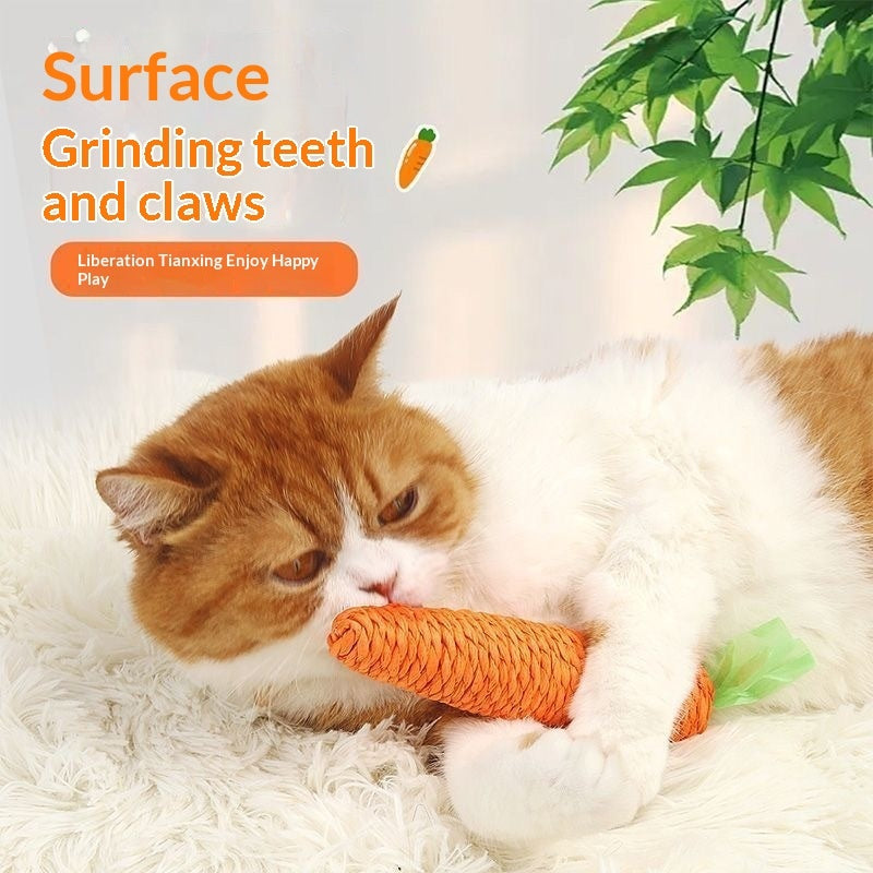 Cat Toy Gift Set for Interactive Play Fun