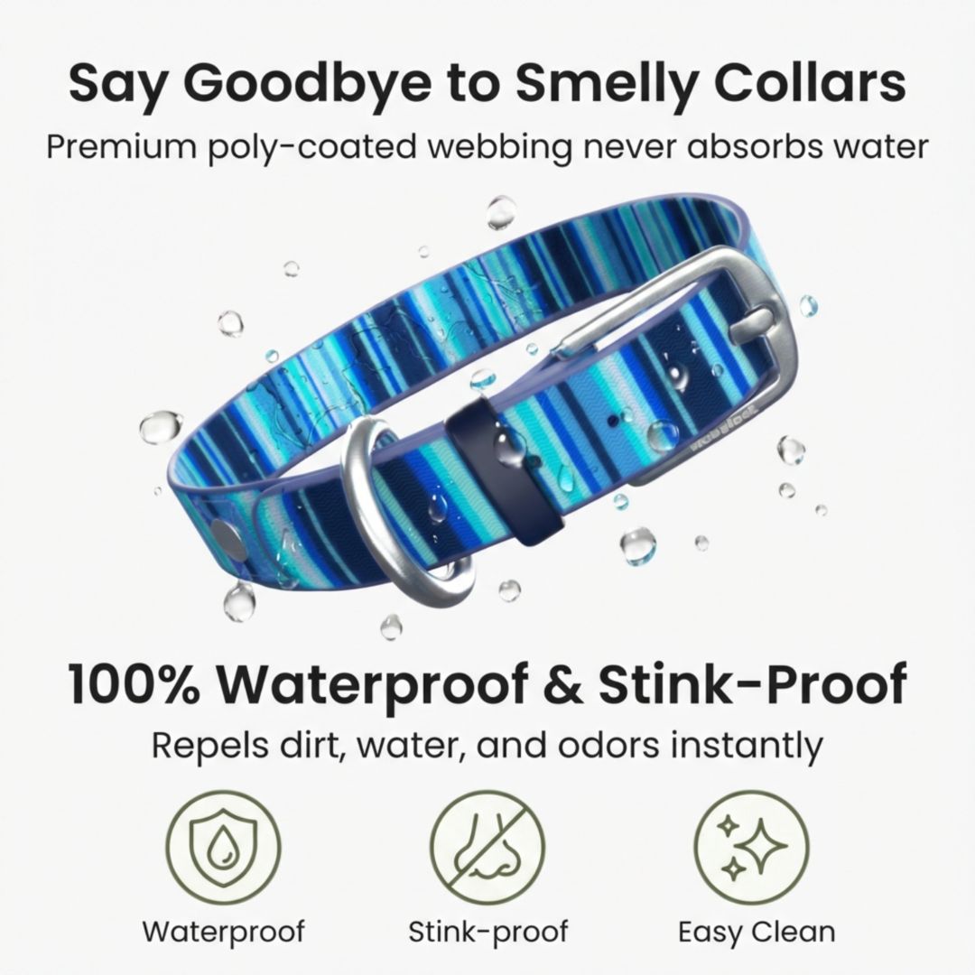 Waterproof Washable Stink Proof Durable Dog Collar Adjustable
