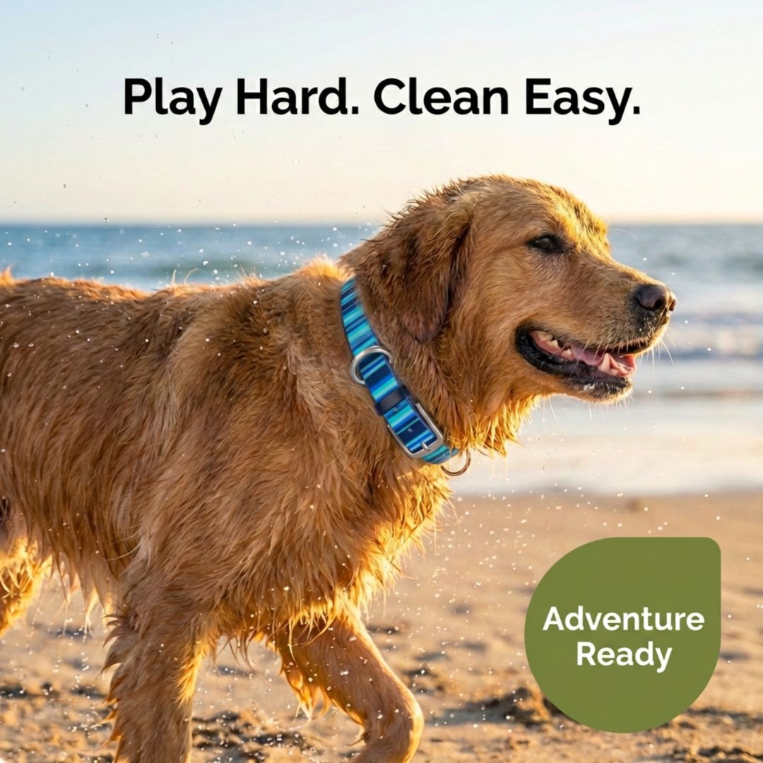Waterproof Washable Stink Proof Durable Dog Collar Adjustable