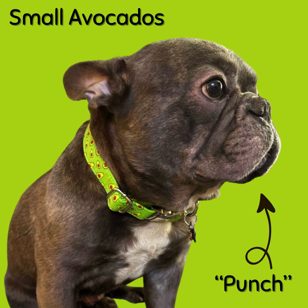 Soft Cotton Dog Collar with Quick Release Metal Buckle