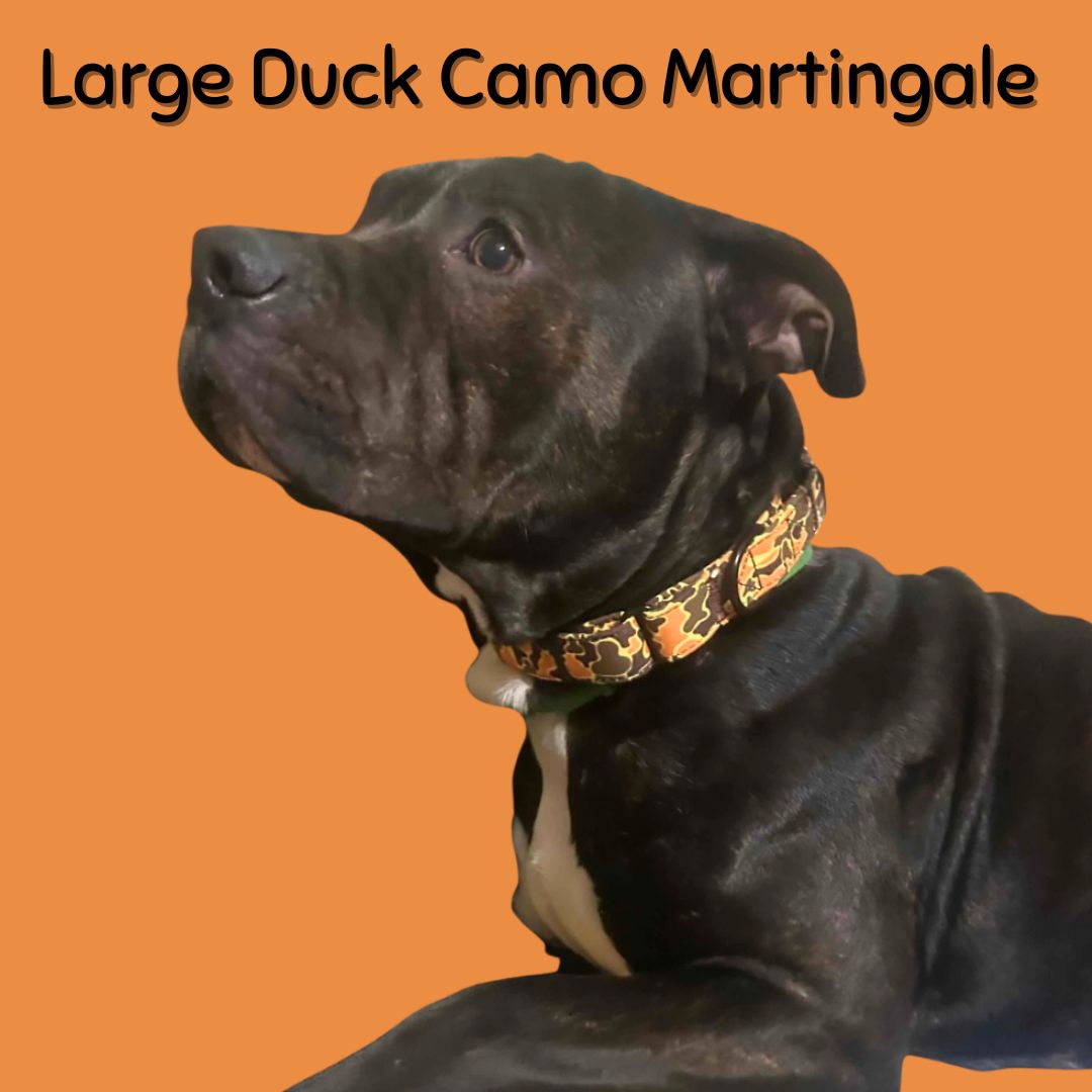 Soft Cotton Dog Collar with Quick Release Metal Buckle
