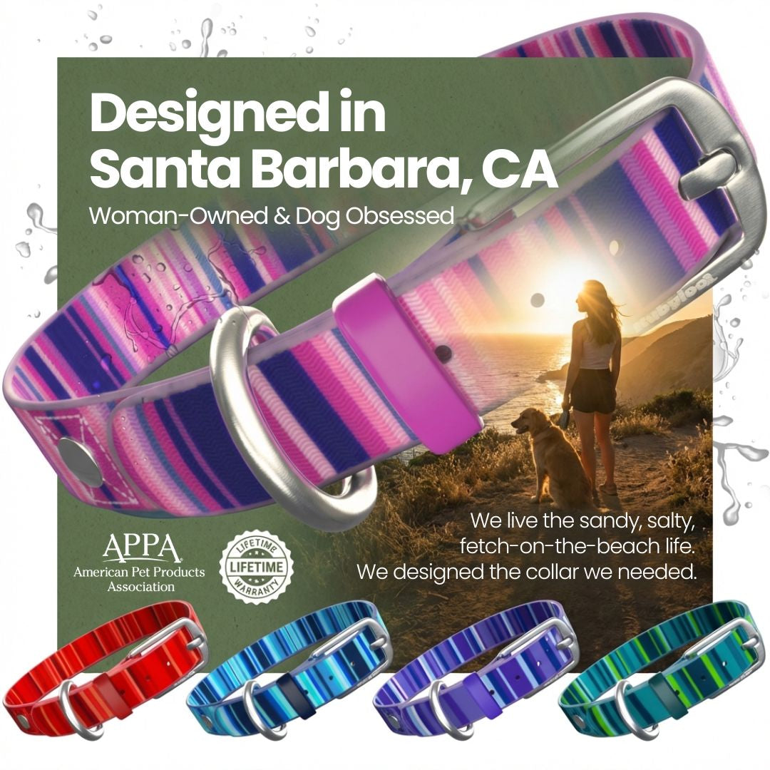 Waterproof Washable Stink Proof Durable Dog Collar Adjustable