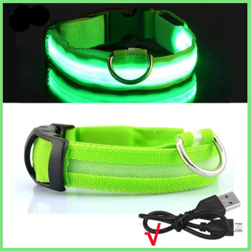 USB Rechargeable LED Dog Collar for Night Safety Visibility