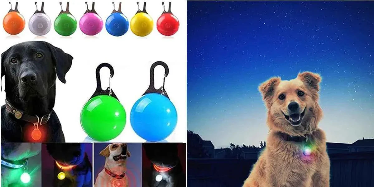 USB Rechargeable LED Dog Collar for Night Safety Visibility