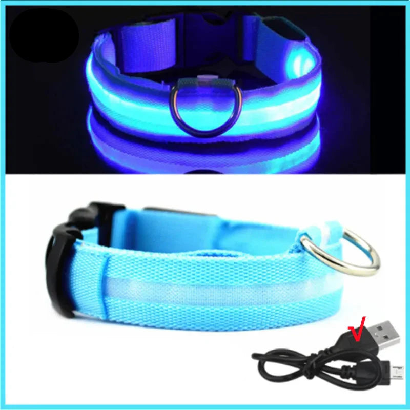 USB Rechargeable LED Dog Collar for Night Safety Visibility