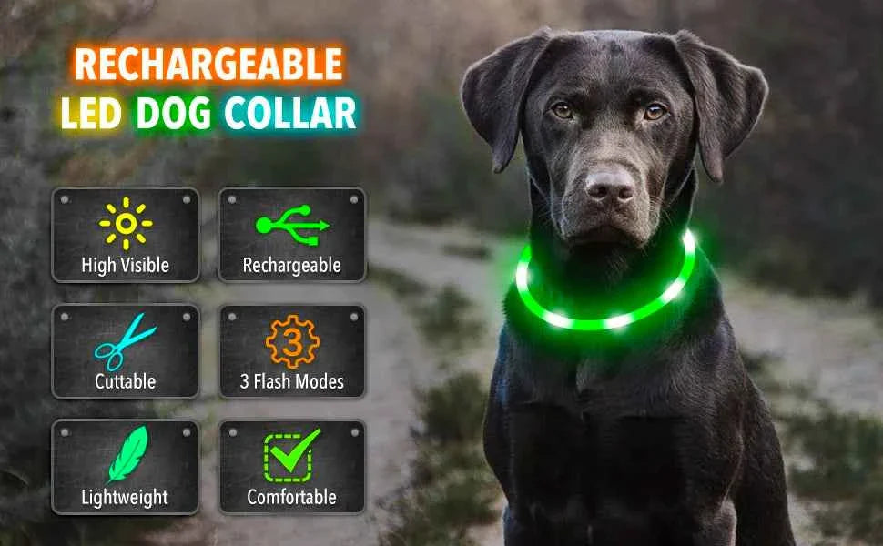 USB Rechargeable LED Dog Collar for Night Safety Visibility