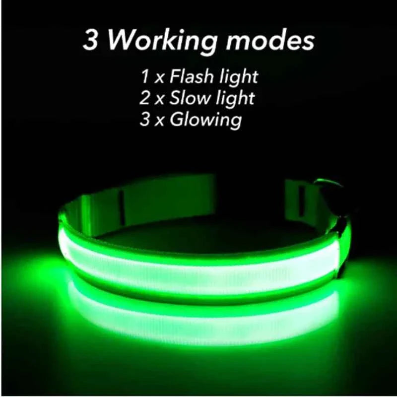 USB Rechargeable LED Dog Collar for Night Safety Visibility