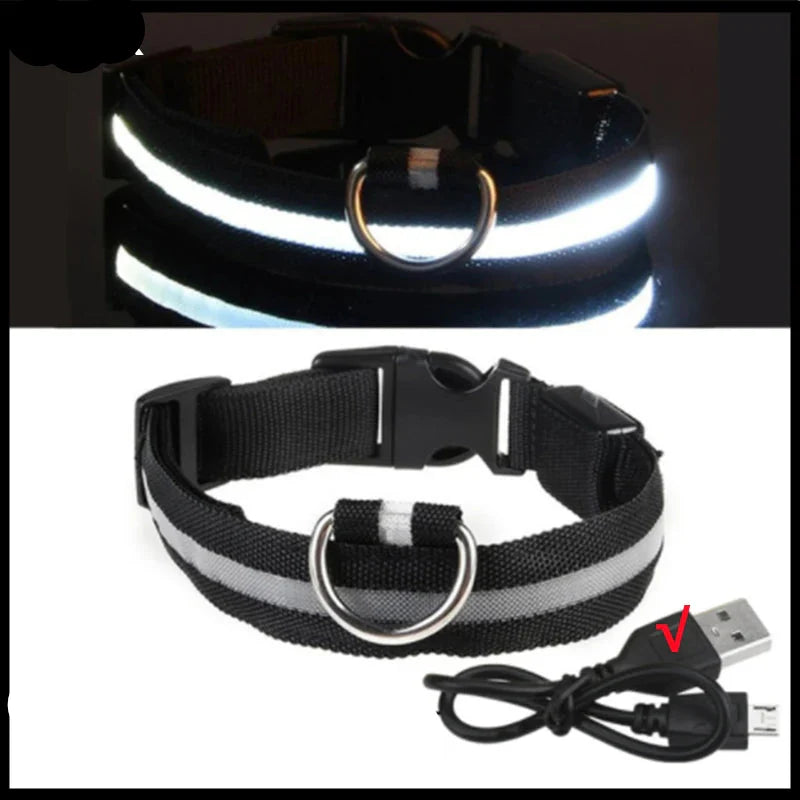 USB Rechargeable LED Dog Collar for Night Safety Visibility