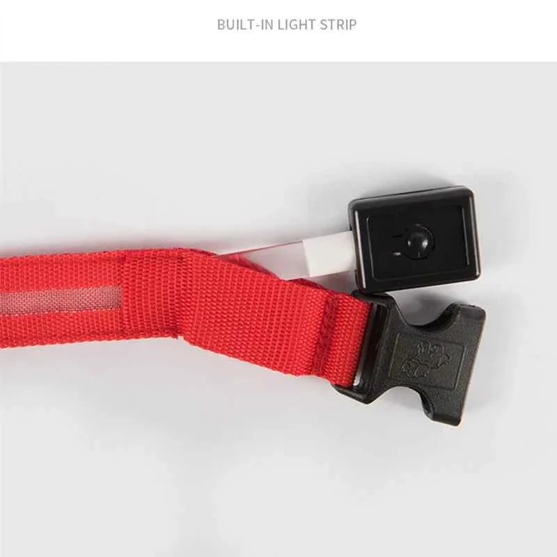 USB Rechargeable LED Dog Collar for Night Safety Visibility