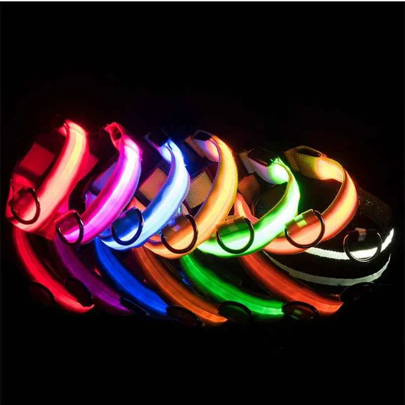 USB Rechargeable LED Dog Collar for Night Safety Visibility