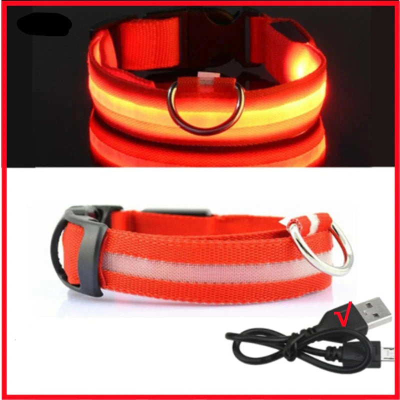 USB Rechargeable LED Dog Collar for Night Safety Visibility