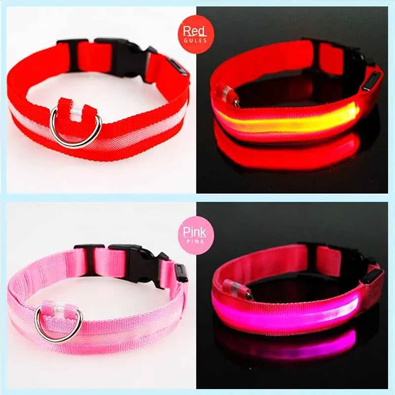 USB Rechargeable LED Dog Collar for Night Safety Visibility