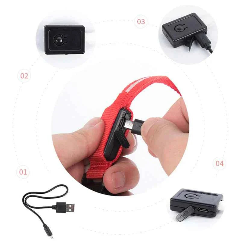 USB Rechargeable LED Dog Collar for Night Safety Visibility