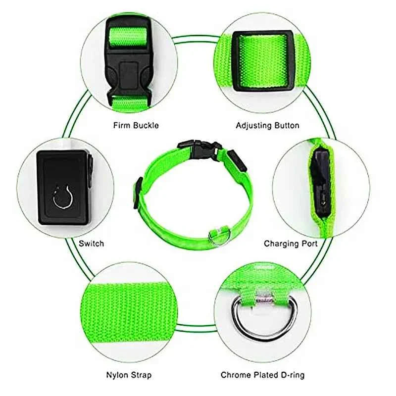 USB Rechargeable LED Dog Collar for Night Safety Visibility