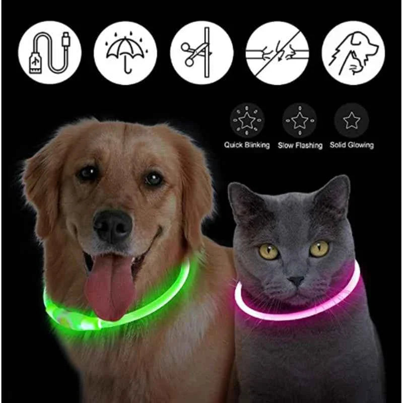 USB Rechargeable LED Dog Collar for Night Safety Visibility