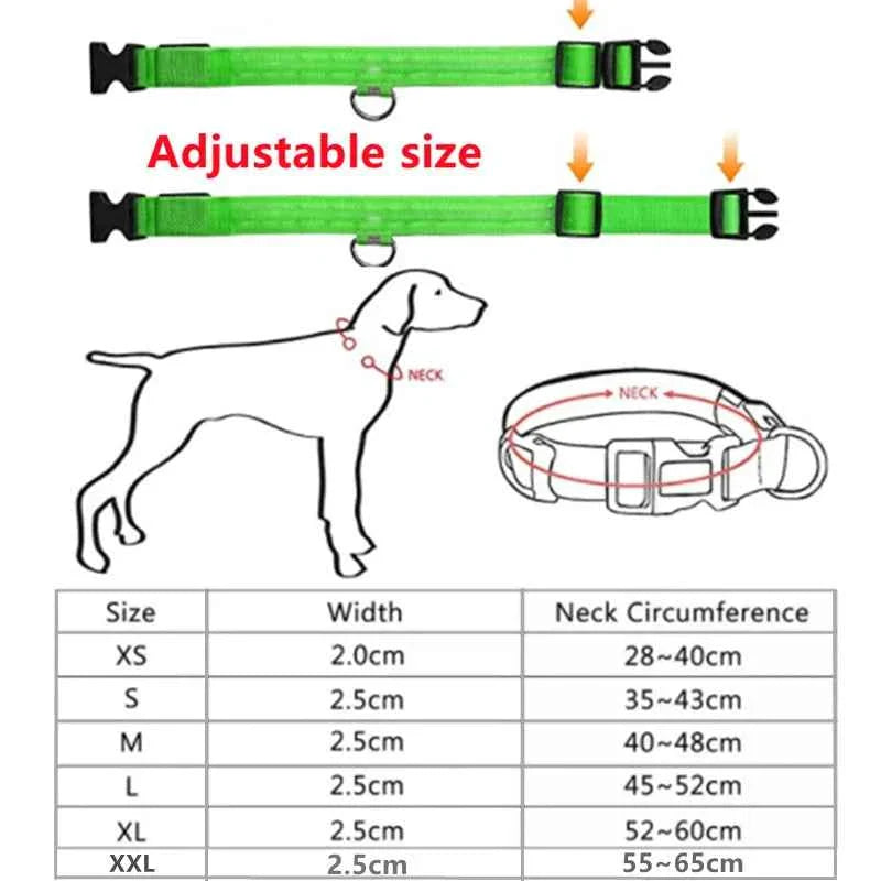 USB Rechargeable LED Dog Collar for Night Safety Visibility