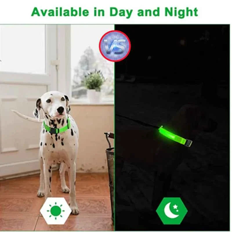 USB Rechargeable LED Dog Collar for Night Safety Visibility