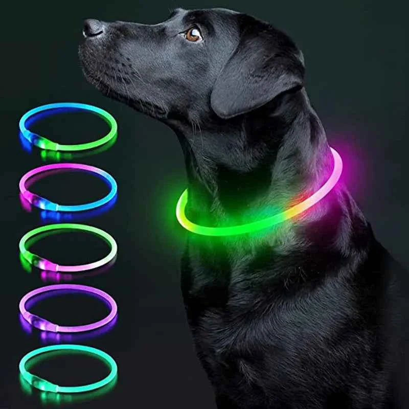 USB Rechargeable LED Dog Collar for Night Safety Visibility