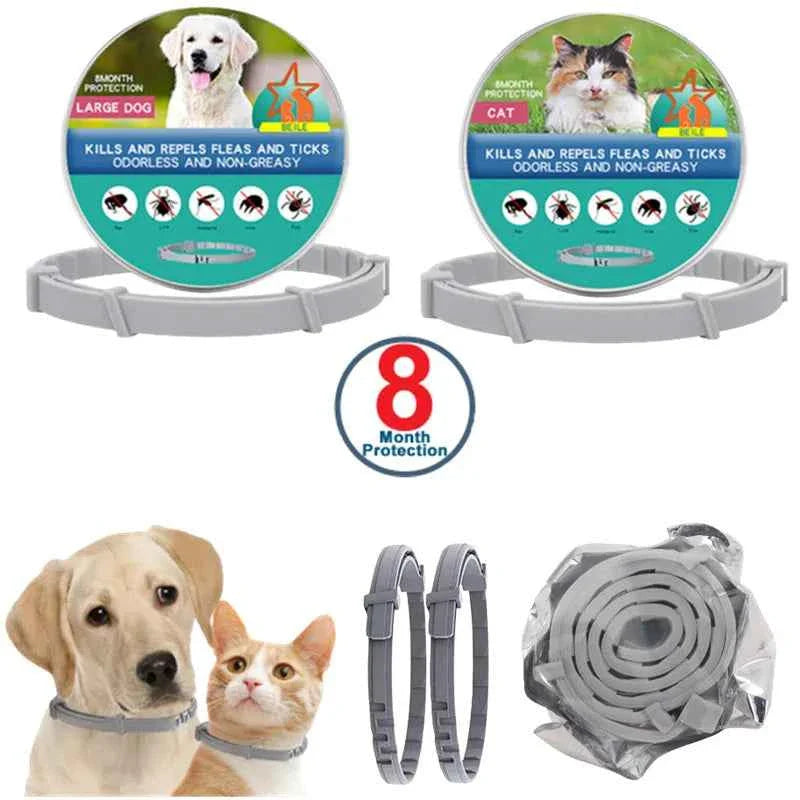 USB Rechargeable LED Dog Collar for Night Safety Visibility