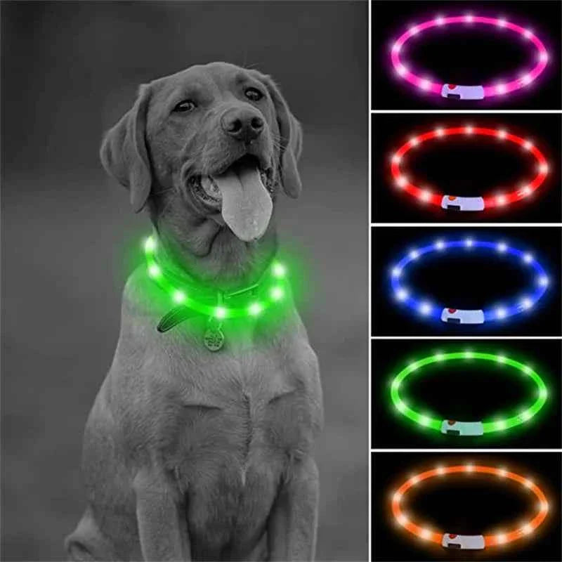 USB Rechargeable LED Dog Collar for Night Safety Visibility