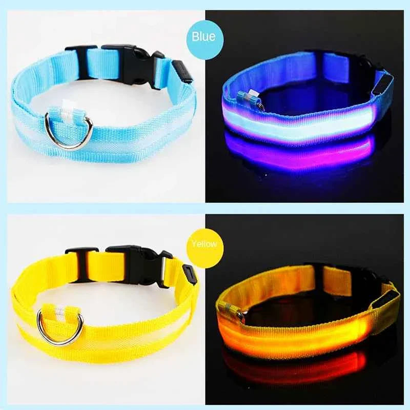 USB Rechargeable LED Dog Collar for Night Safety Visibility