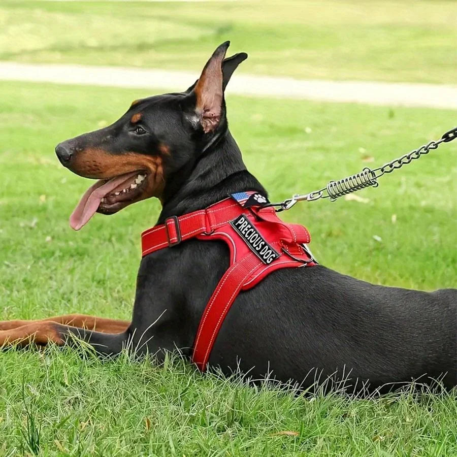 Reflective Service Dog Harness Leash Set with Folding Bowl