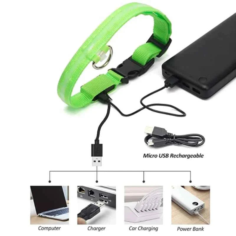 USB Rechargeable LED Dog Collar for Night Safety Visibility