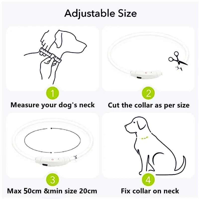 USB Rechargeable LED Dog Collar for Night Safety Visibility
