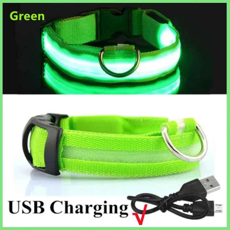 USB Rechargeable LED Dog Collar for Night Safety Visibility