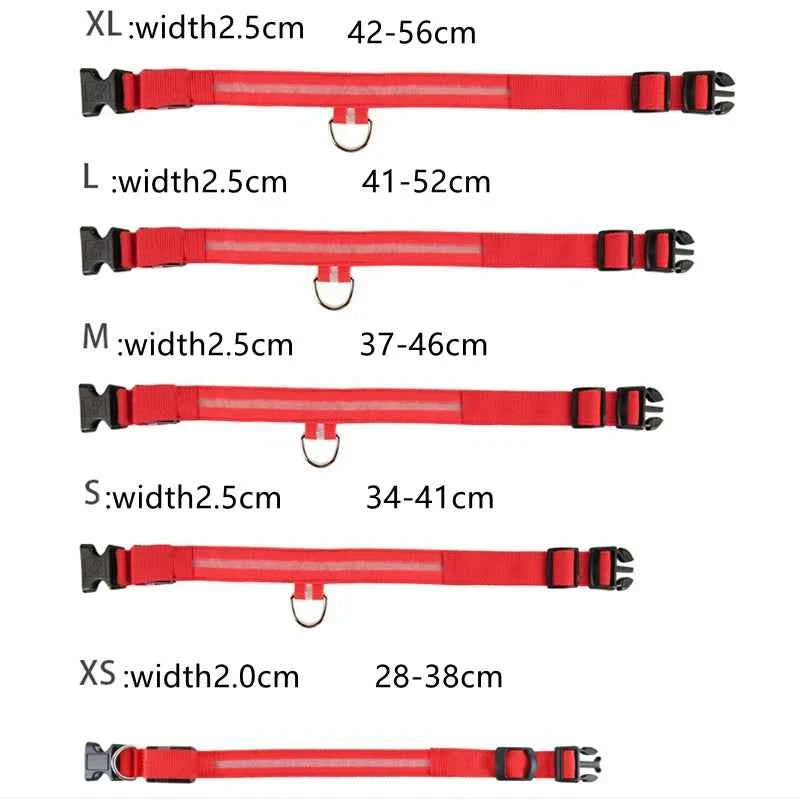 USB Rechargeable LED Dog Collar for Night Safety Visibility