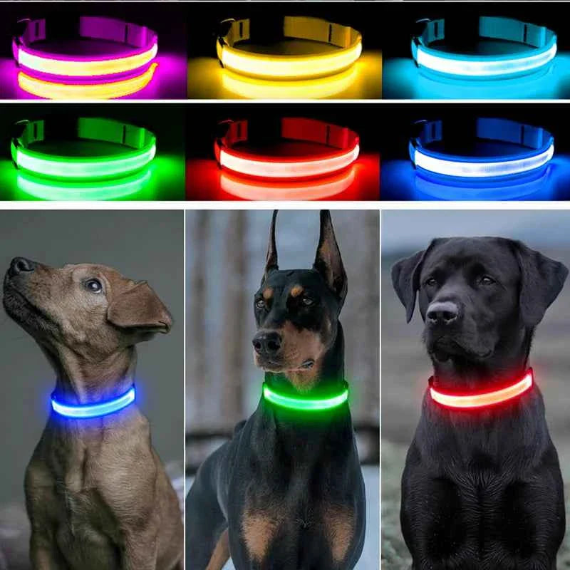 USB Rechargeable LED Dog Collar for Night Safety Visibility